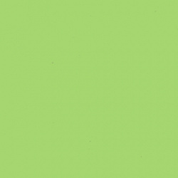 449 Spring Bud