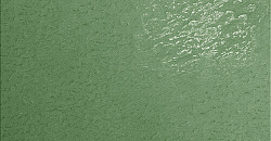 Monocolor