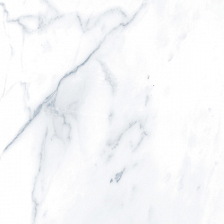 G283-PayerGrey PR